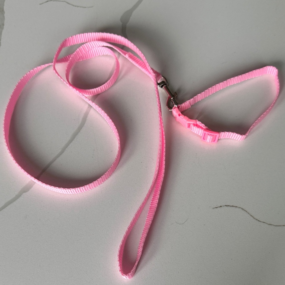 Vibrant Pink Pet Leash and Collar